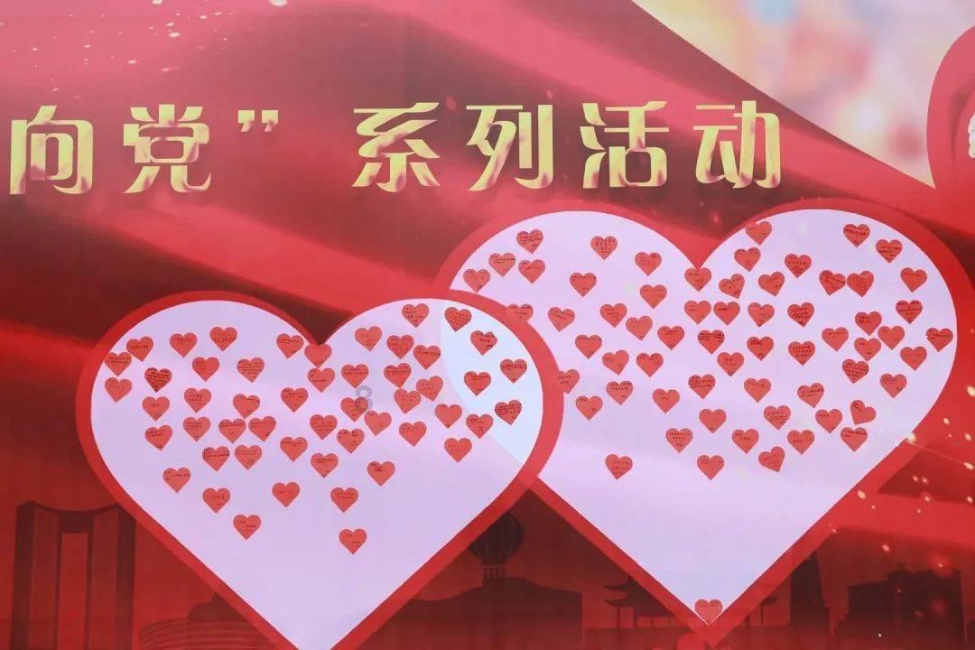 拯救受伤的猫